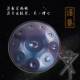 汉盘手碟鼓专业级handpan手碟空灵打QOV击乐器9音0音11音440432H2