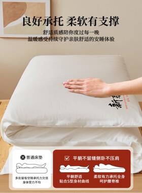 LJH20250A类云感双花层纱鱼鳞网棉床褥床垫床垫褥子宿软舍学生上