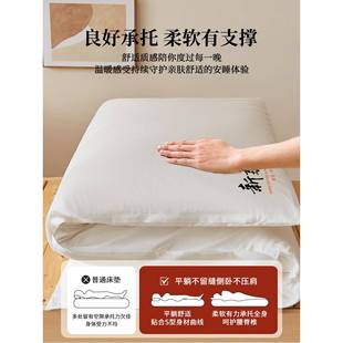 LJH20250A类云感双花层纱鱼鳞网棉床褥床垫床垫褥子宿软舍学生上