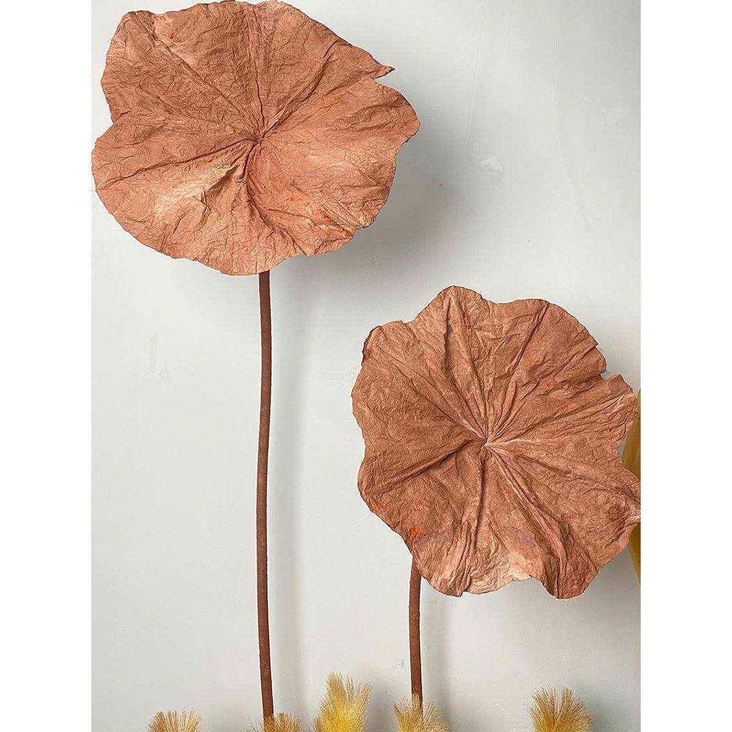 秋季橱窗陈列服装店装饰道具纸艺荷叶芦苇荡氛围布置秋冬主题陈列