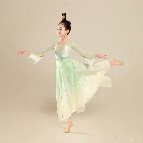高档民儿童古典舞蹈服衣中国舞身韵练功服纱舞女童族舞扇子渐层演