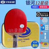 高档银河翅乒乓球乓拍11星兵兵12星15木星鸡专业级兵球单拍碳素进