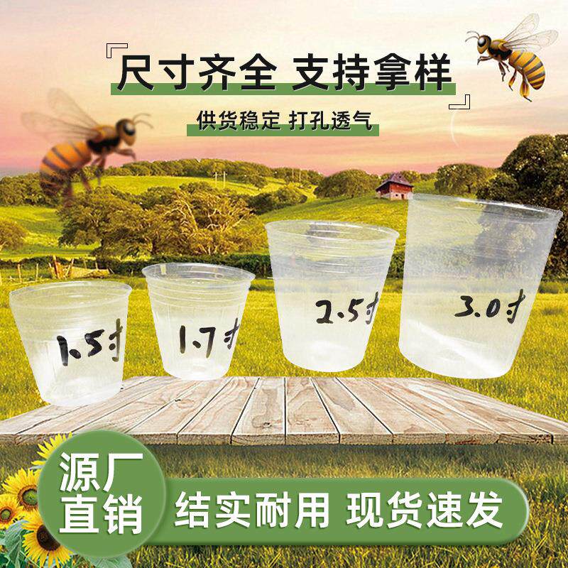 透明育苗杯塑料兰花花盆多肉家庭营养白色透气打孔种植美植袋