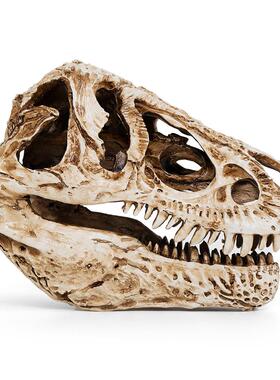 恐龙骷颅头树脂骷髅头霸王龙骷颅头模型骨架科普研究标本参考样本