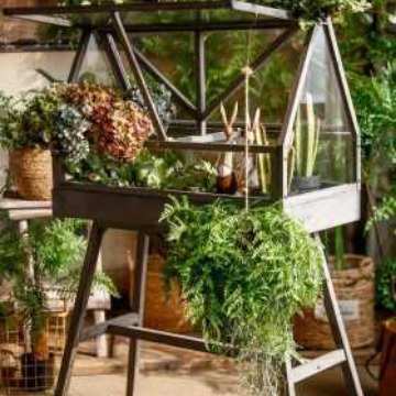实木落地玻璃花房温室多肉植物阳光暖房防冻室内阳台花园复古花架