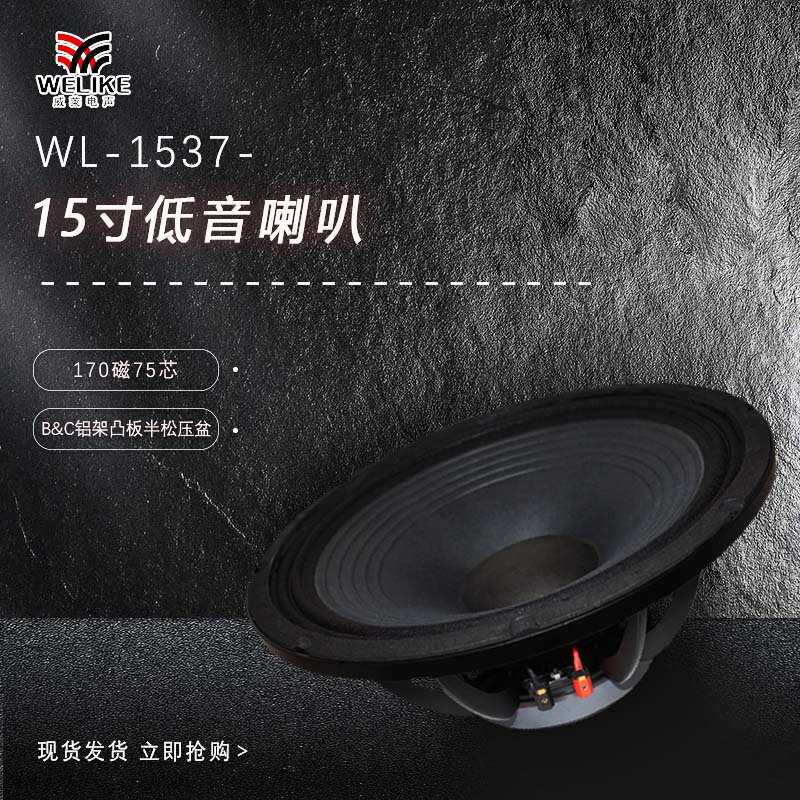 15寸170磁75芯大功率户外演出舞台专用低音喇叭单元扬声器speaker