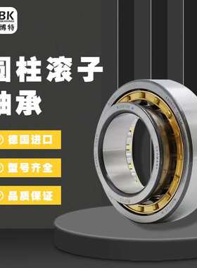 德国KBTBK进口圆柱滚子轴承人RN212 219 220 222 228EM轴承大全
