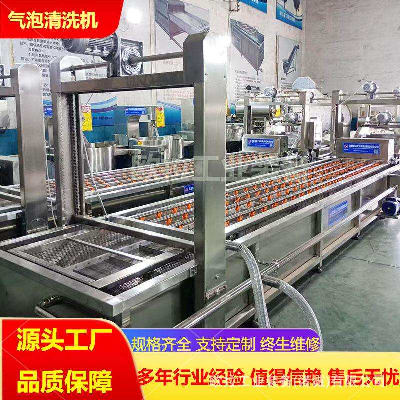大白菜加工气泡清洗机 茄子辣椒根茎类蔬菜清洗机器 全自动洗菜机