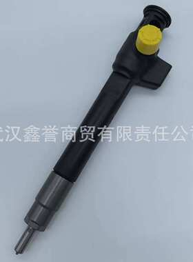 DS7Q-9F593-BB 28388960/28602948 高压共轨喷油器适用于FORD