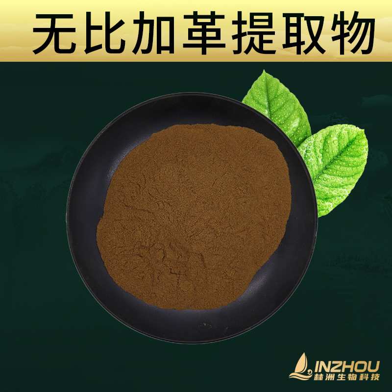 无比加革提取物 林洲生物铁块苓提取物无比加革粉100g/袋包邮