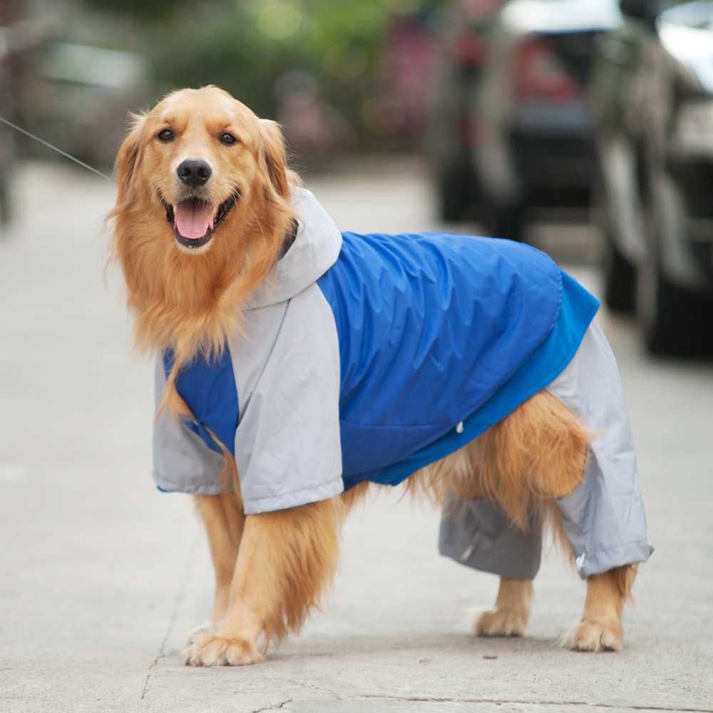宠物雨衣狗狗衣服防水大狗狗雨衣全包四脚小型犬服装中型犬比熊,模玩/动漫/周边/娃圈三坑/桌游,模型制作工具/辅料耗材,淘宝优惠券,粉丝福利购,淘宝优惠卷