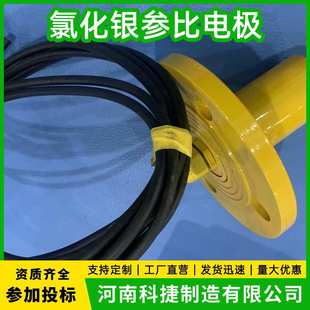 船用银/氯化银参比电极 CCY-2 海水用固态参比电极