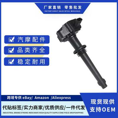 厂价8W9312A366DA 0221604022 AJ811378 LR010687点火线适用JUGAR