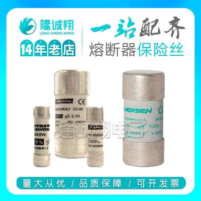 【熔断器保险丝】FR22AM69V40P F215653 FR22AM69V50P K216669