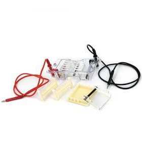 DYCP-31BN型琼脂糖水平电泳仪 六一 仪器