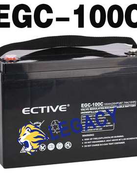 12V100AH 德国ECTIVE蓄电池 EGC-100C 太阳能 胶体电池（电瓶）