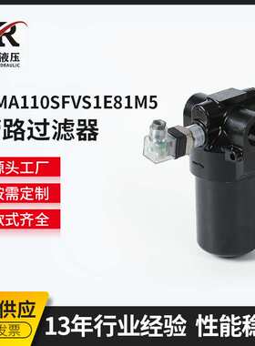 PMA110SFVS1E81M5管路过滤器 液压系统滤油器