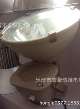 GT181一体化防水防尘投光灯ZT6900 165B GT101 GT102.  9170