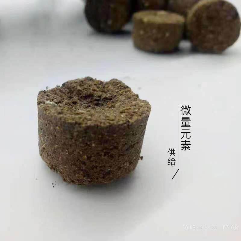 兰花多肉花卉植物通用肥玉肥料球营养肥通用有机缓释肥玉肥盆景肥