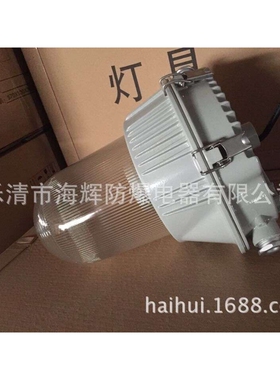 NFC9130防眩泛光灯70W100W150W三防灯NFC9130-J100