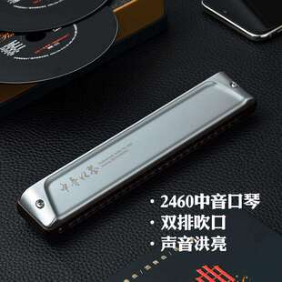 孔声24孔中音口琴C#调进口音簧成人乐队半音阶乐器C调24孔口琴