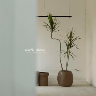 大地植物新中式创意复古大水泥盆大型绿植花盆欧式宅寂风盆器