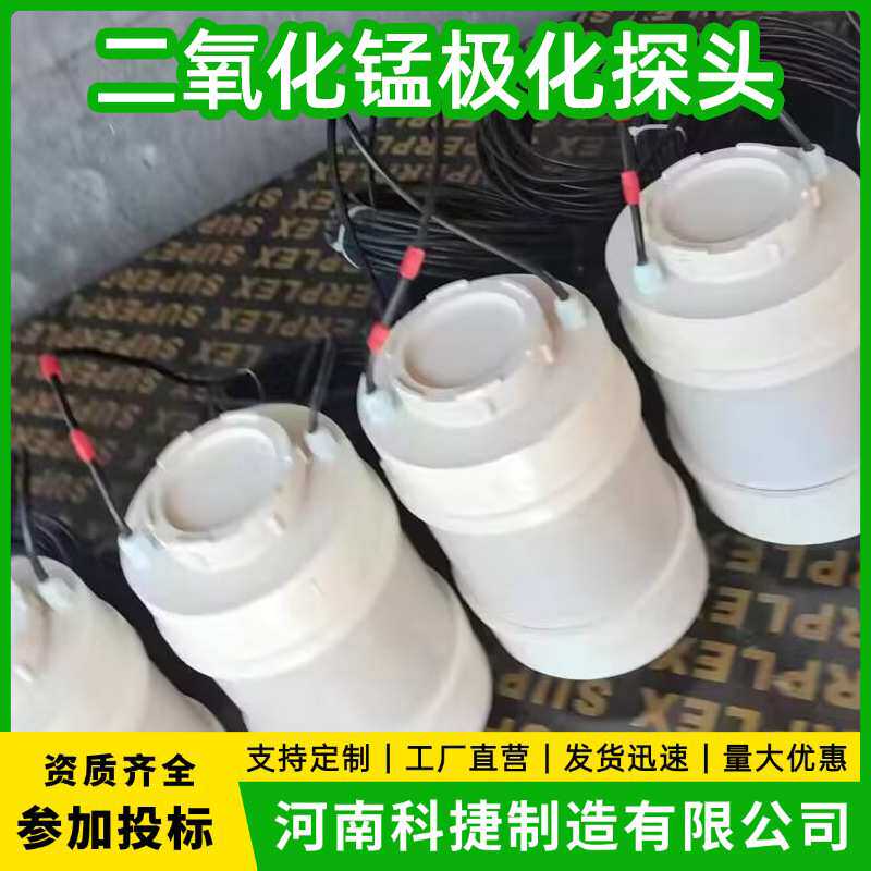 高纯锌极化探头 管道阴极保护电位测量探头 牺牲阳极抗干扰试片