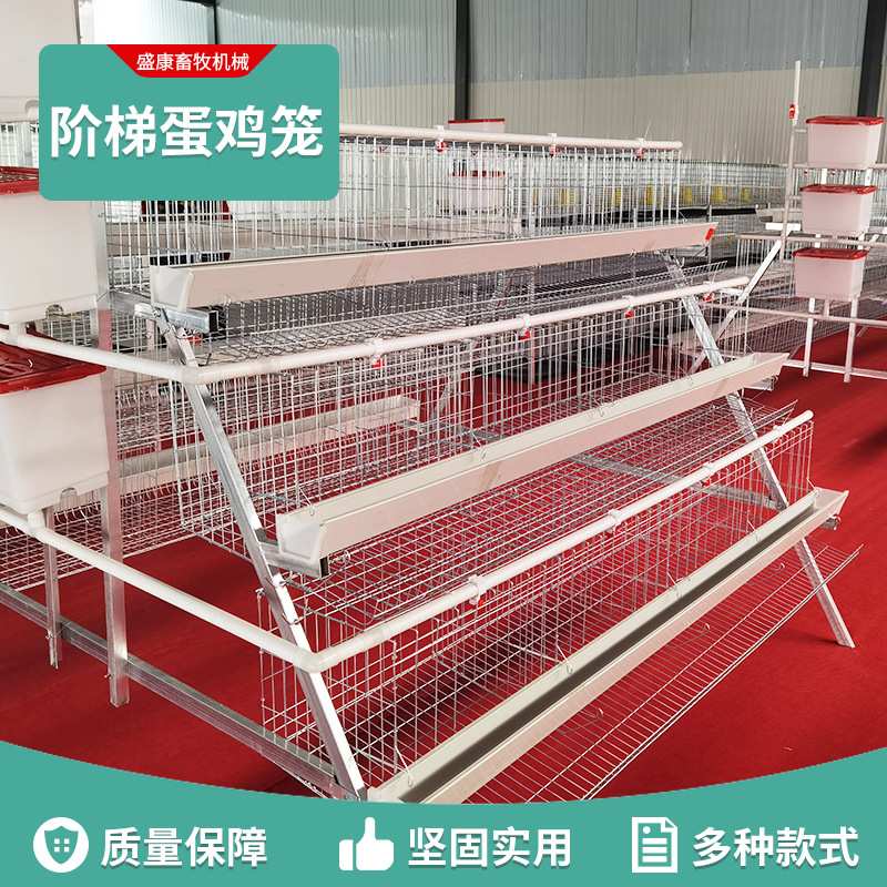 养殖场蛋鸡笼子家用养鸡三层双边4门5门阶梯式镀锌铁丝笼鸡笼子