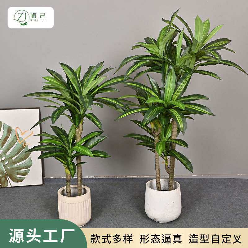 仿真巴西铁 北欧风假植物室内装饰落地盆栽客厅盆景造景摆件橱窗