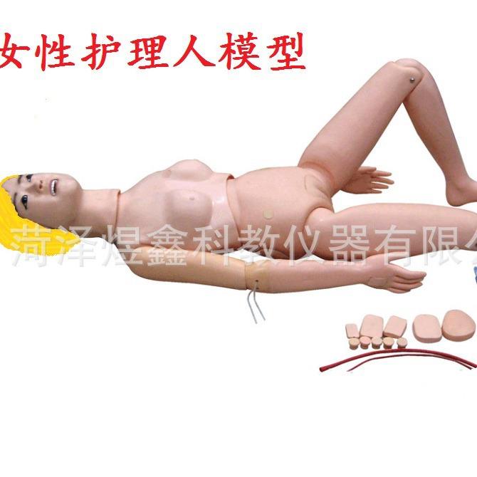 护理人模型 女性护理人模型 生物教学男性护理人模型实习