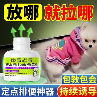 狗狗诱导剂狗大小便定点排便神器训练引导狗狗上厕所拉尿防止乱狗