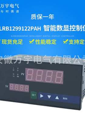 SLRB1217124PAH  智能数显控制仪
