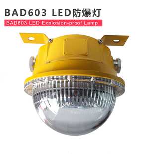 免维护LED防爆灯BAD603 配电室地沟灯 电缆低压圆形吸顶灯24V36V