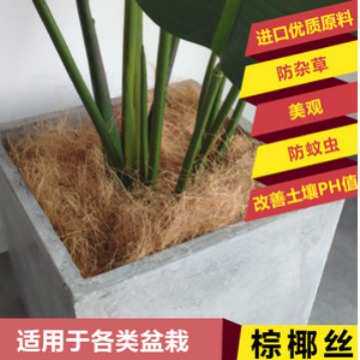 椰棕丝椰纤维绿植铺面透气多肉仙人掌花盆覆盖装饰椰纤维丝