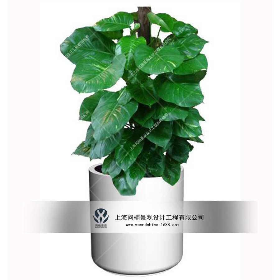 商业美陈 商场植物花盆装饰玻璃钢创意几何造型花缸花艺花器