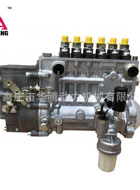 BF6L914高压泵   0423 4301 适用于道依茨发动机