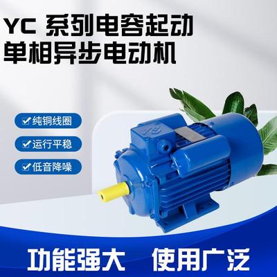 YL系列闽东款单相铁壳异步马达双值电容电动机