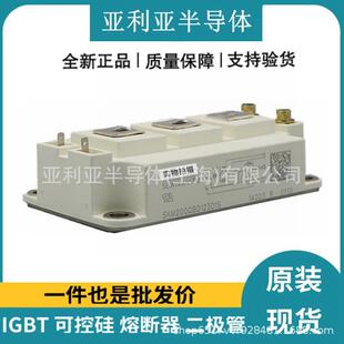SKM400GA174DSKM400GM17E4SKM600GA173DSKM600GA174D可控硅模块
