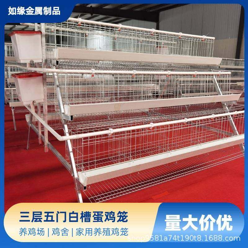 三层五门白槽蛋鸡笼阶梯式布局蛋托网孔防破损养鸡笼,畜牧/养殖物资,特种养殖设备,淘宝优惠券,粉丝福利购,淘宝优惠卷