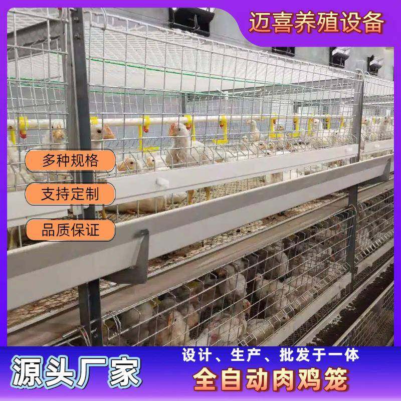 肉鸡笼框架鸡笼全自动养鸡设备自动化养殖养殖场鸡舍,畜牧/养殖物资,特种养殖设备,淘宝优惠券,粉丝福利购,淘宝优惠卷