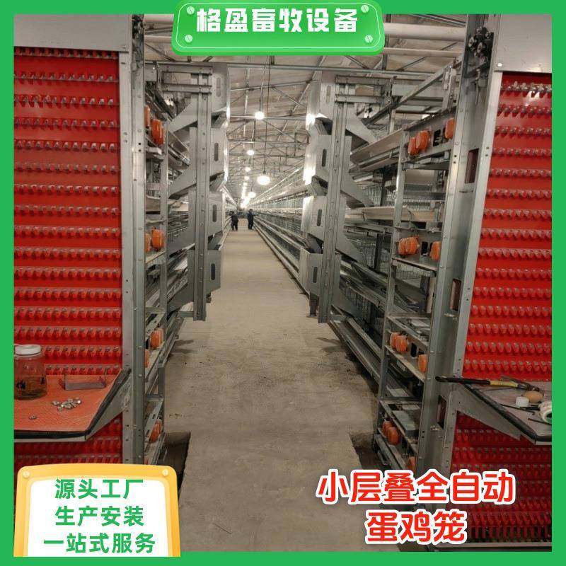 H型小层叠蛋鸡笼热镀锌层叠式鸡笼框架全自动化蛋鸡养殖设备,畜牧/养殖物资,特种养殖设备,淘宝优惠券,粉丝福利购,淘宝优惠卷
