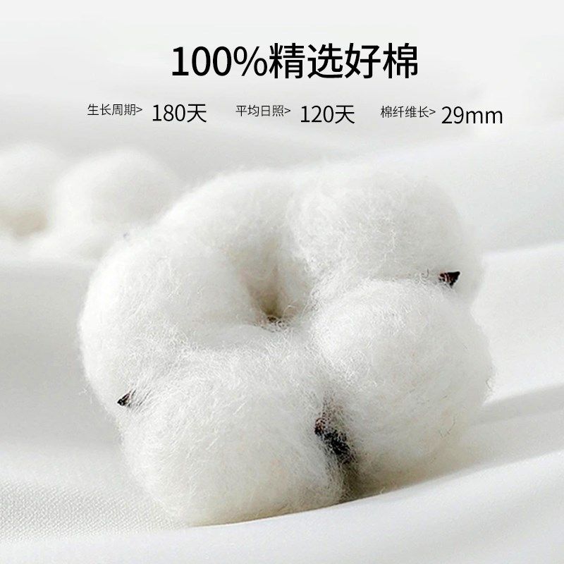 加厚磨毛床单单件纯棉100全棉秋冬季纯色荷叶边2024新款四季通用,床上用品,床单,淘宝优惠券,粉丝福利购,淘宝优惠卷