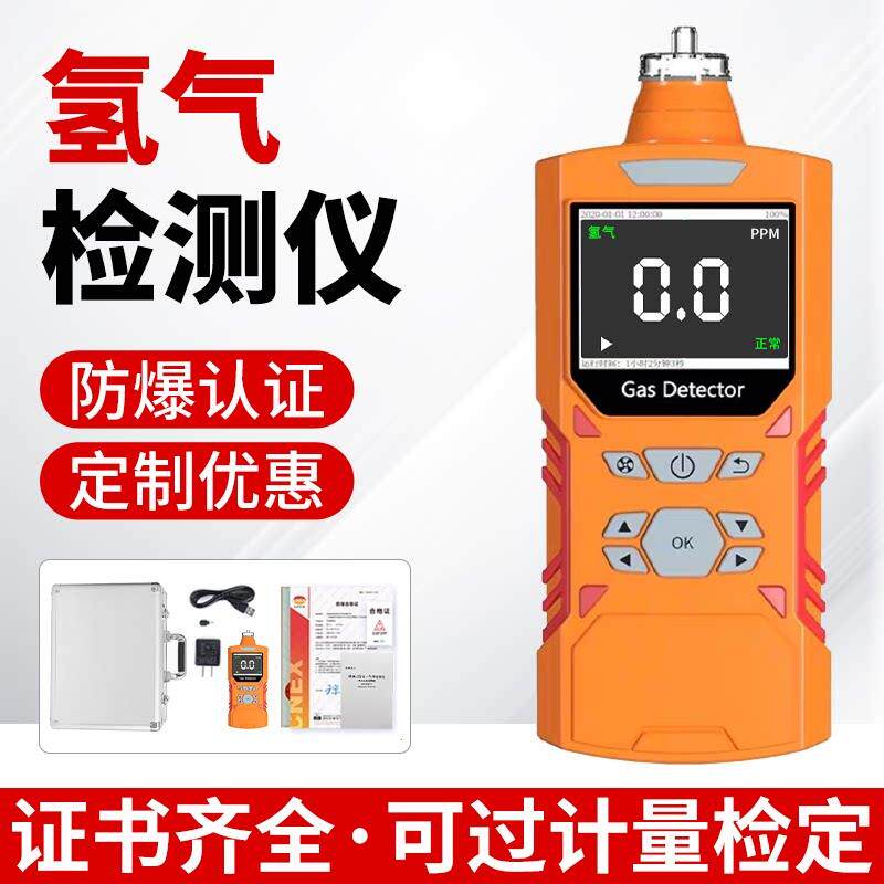 氢气气体检测仪泵吸便携