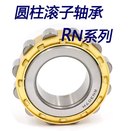 圆柱滚子轴承RN2306 RN2308  2310 2312 2313 2315 2316 N2318 EM