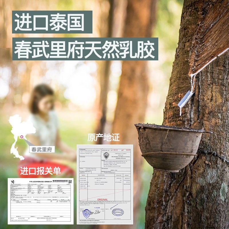 贝壳日记儿童乳胶枕头8-16岁以上小学生专用抑菌防螨透气四季通用