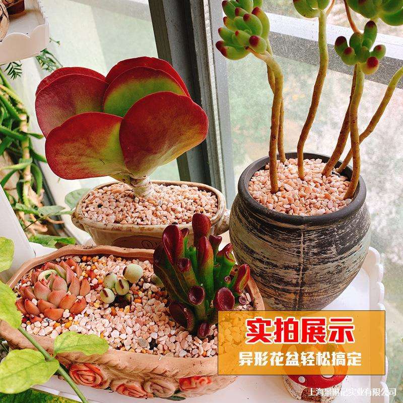 阳台多肉花架顶天立地花架伸缩杆家用室内室外飘窗铁艺小型置物架