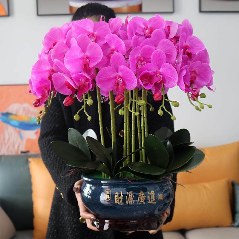 花特大号手感PU蝴蝶兰盆景客厅电视柜装饰花玄关公司假花摆件,玩具/童车/益智/积木/模型,毛绒/玩偶/公仔/布艺类玩具,淘宝优惠券,粉丝福利购,淘宝优惠卷