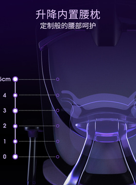Ergoup/有谱 笑脸人体工程学椅电脑椅老板椅办公椅可躺舒适久坐