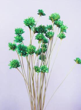 干花小星花快乐花小山花客厅装饰家居摆设 花束迷你花朵