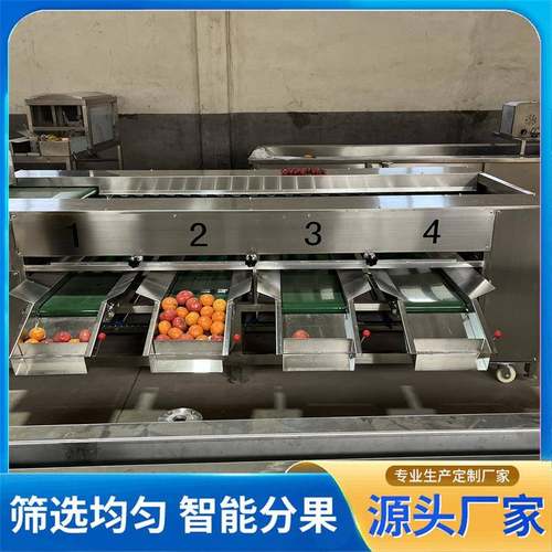 滚杠分选机选果机蜜桔砂糖橘橙子水果滚杠分选机马铃薯多级选果机